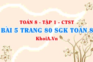 Bài 5 trang 80 SGK Toán 8 Tập 1 Chân trời sáng tạo